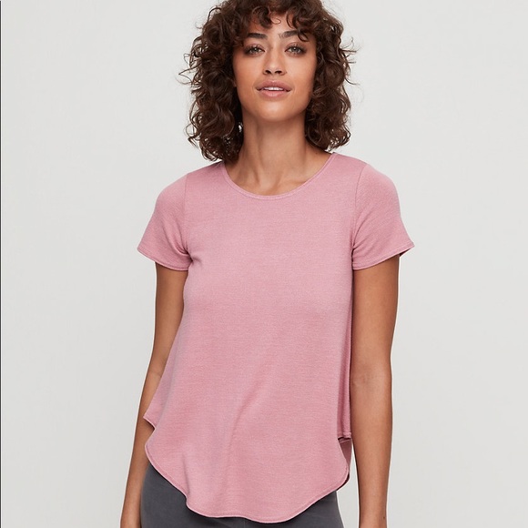 Wilfred Tops - Wilfred Free Aritzia Esther T-Shirt IN GREY